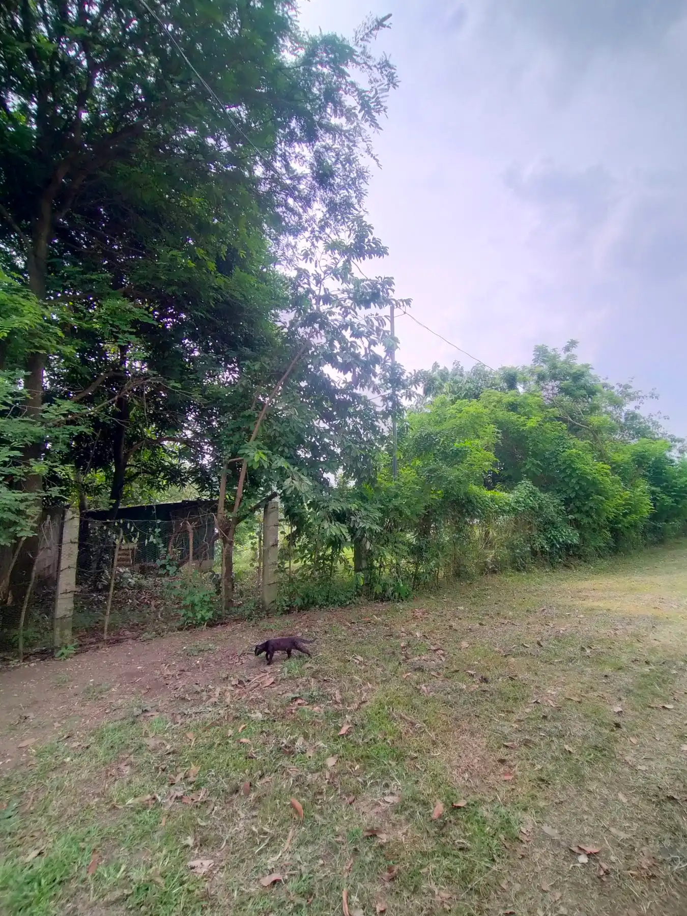 Property 5